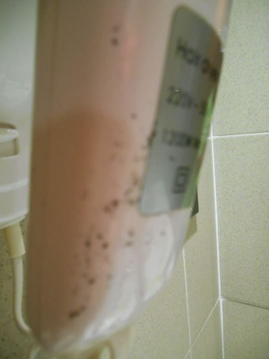 Schimmelspuren AQUA Hotel Promenade & Spa