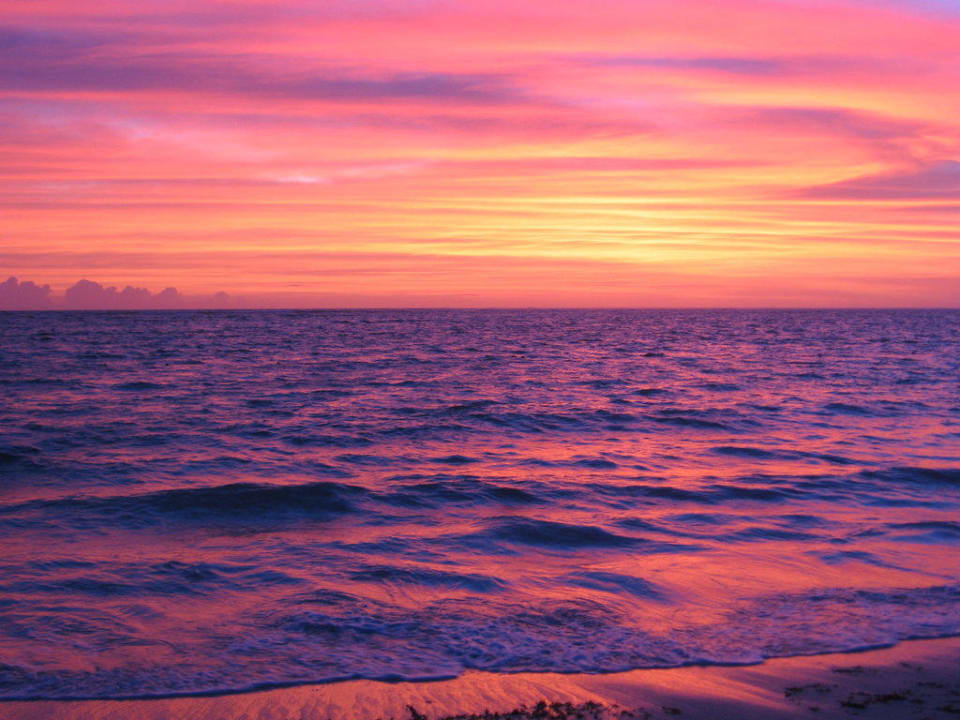 Wunderschöner Sonnenaufgang am Strand Secrets Royal Beach Punta Cana - Adults only