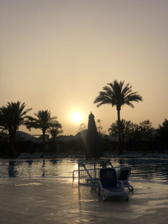 Ausblick Desert Rose