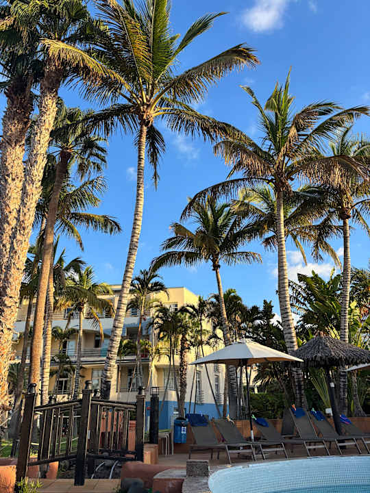 Pool IFA Altamarena by Lopesan Hotels