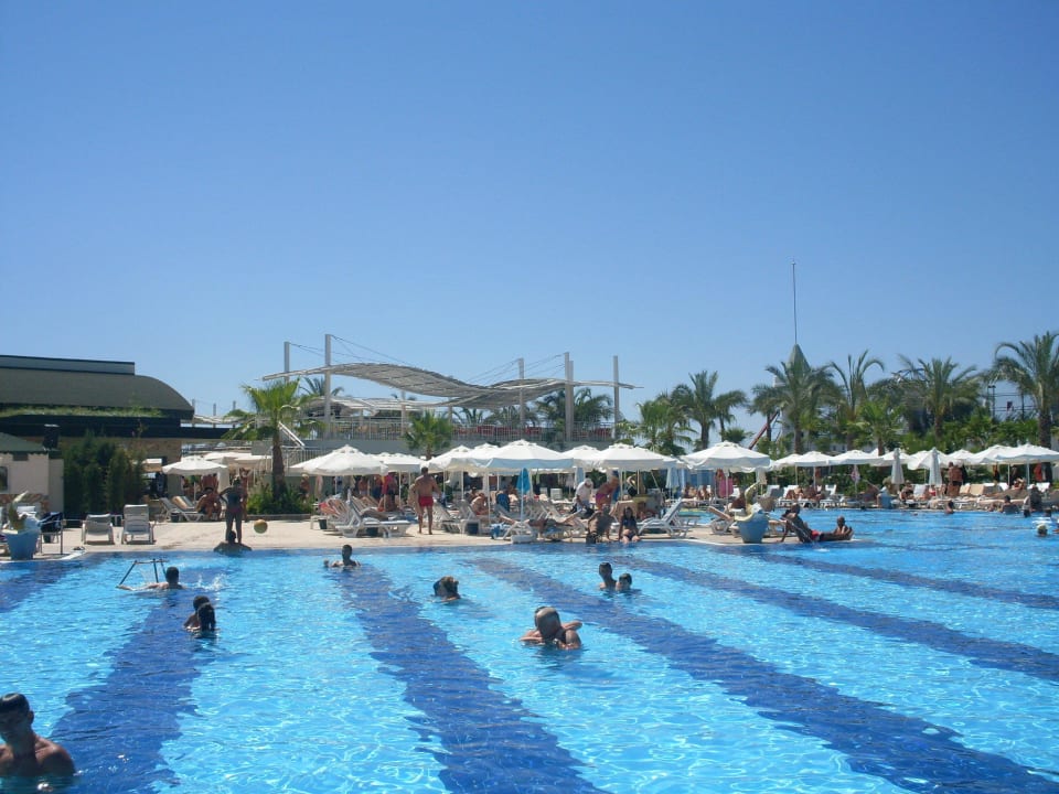 Pool Hotel Delphin Imperial