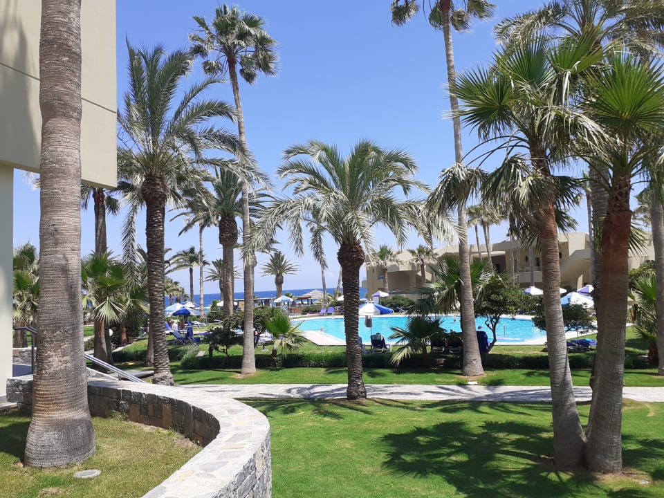 Pool Calimera Sirens Beach