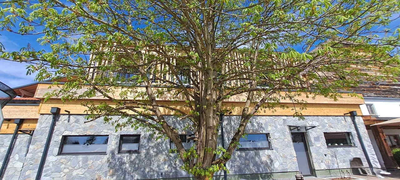 Außenansicht Wohlfühlhotel zur Post