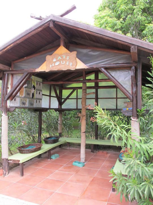 Katzenhaus Asteria Family Belek