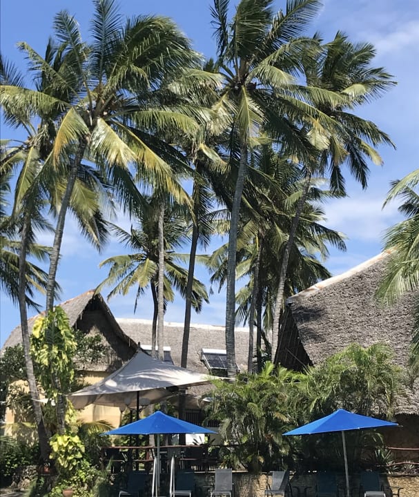 Gartenanlage Bahari Beach Hotel