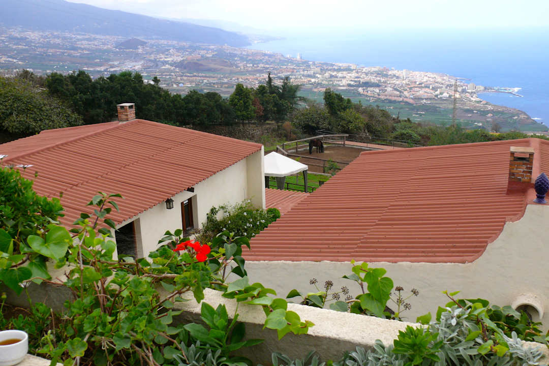 Ausblick vom Pool Finca Alibaba Vivecanarias