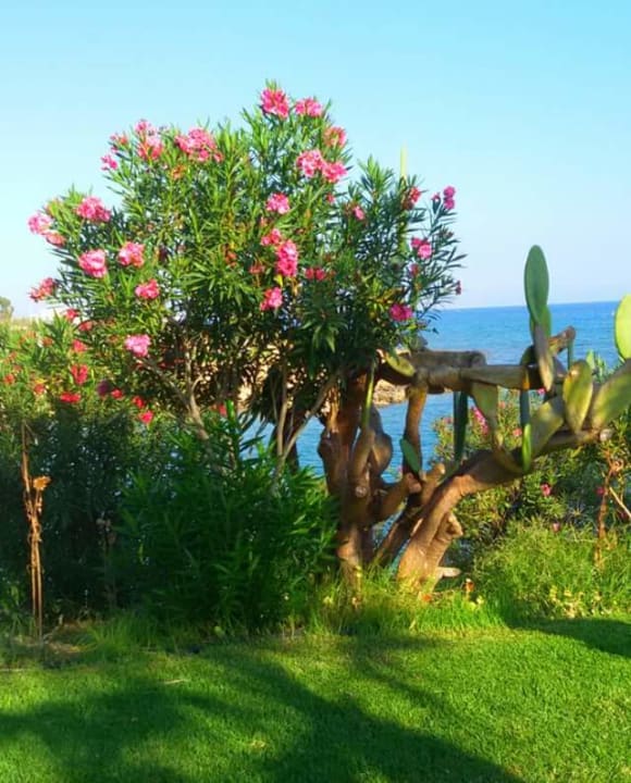 Strand Crystal Springs Beach Hotel