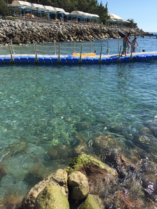 Sentido Strandabschnitt, Steg ins Meer da steinig2 Liberty Lykia Adults Only