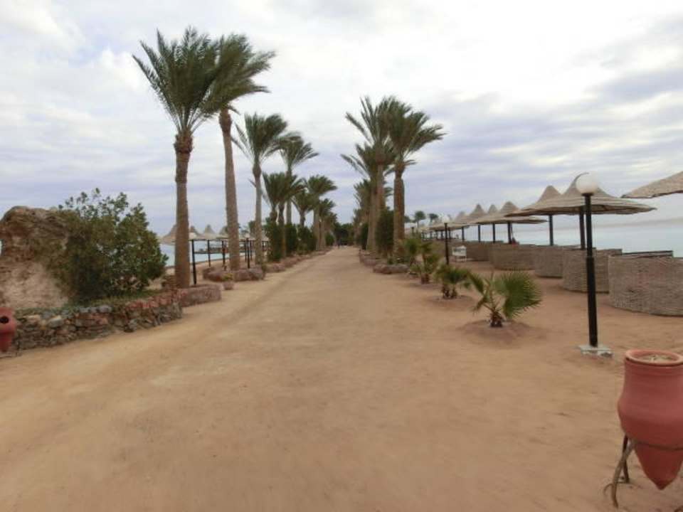 Der Weg zur Marina Arabia Azur Resort