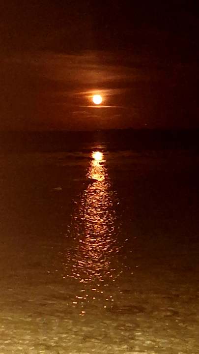 Zimmer Adaaran Select Meedhupparu Island Resort - Premium All Inclusive