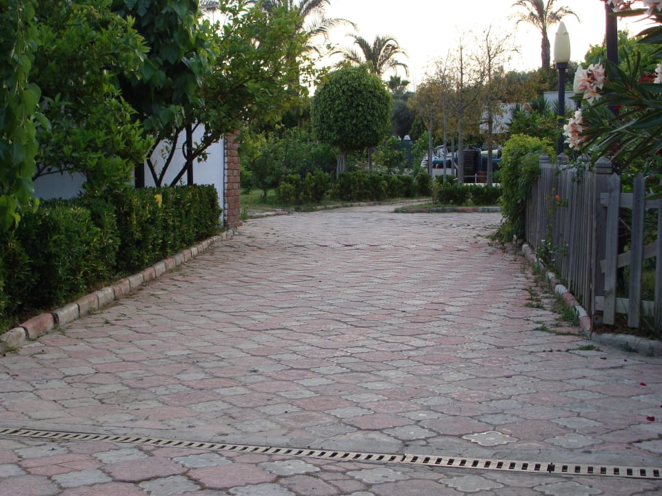 Сад MC Arancia Resort