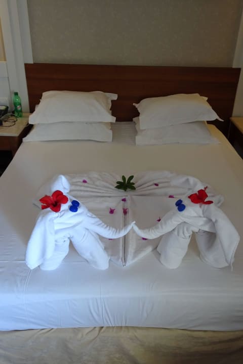 Das beste Zimmermädchen  Alba Queen Hotel