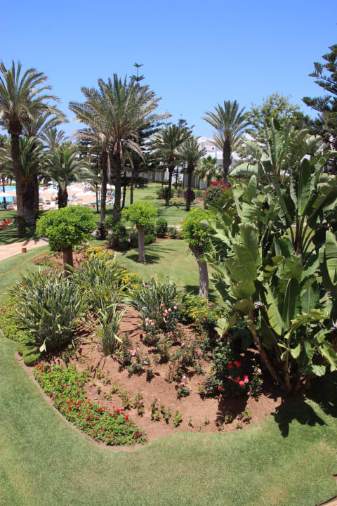 Gartenanlage Iberostar Waves Founty Beach