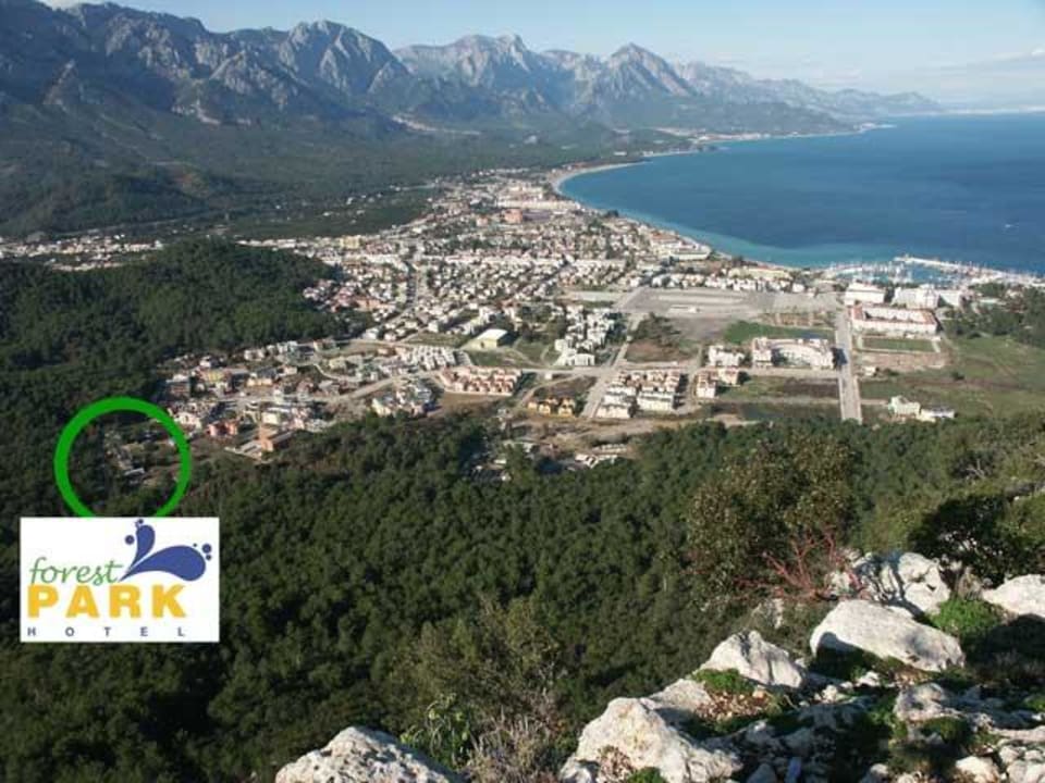 Hotel Forest Park Hotel Forest Park