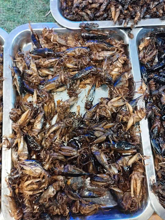 Sport & Freizeit Khaolak Bhandari Resort & Spa