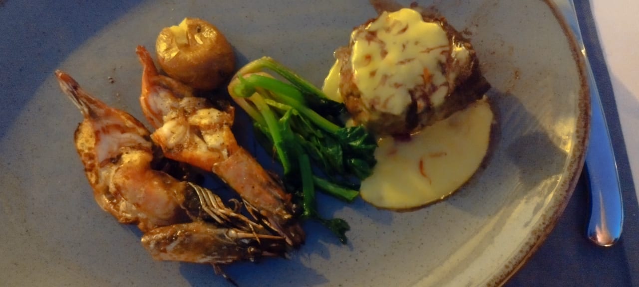 Gastro Acanthus Cennet Barut Collection