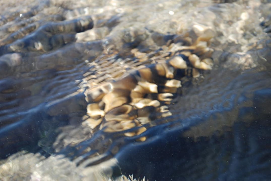 Odplyw Hotel Nubian Village