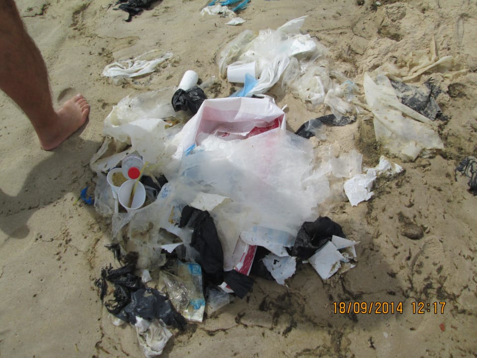 Krankheitserregend Medina Solaria & Thalasso