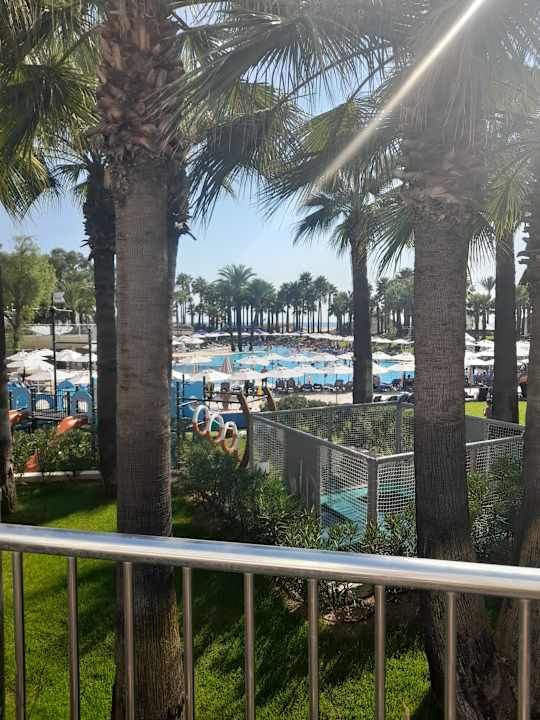 Pool Monachus Family Resort Sorgun