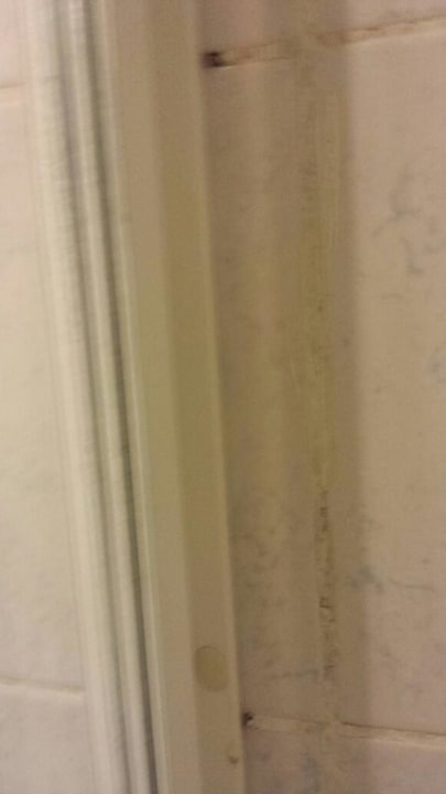 Schimmel AQI Pegasos World