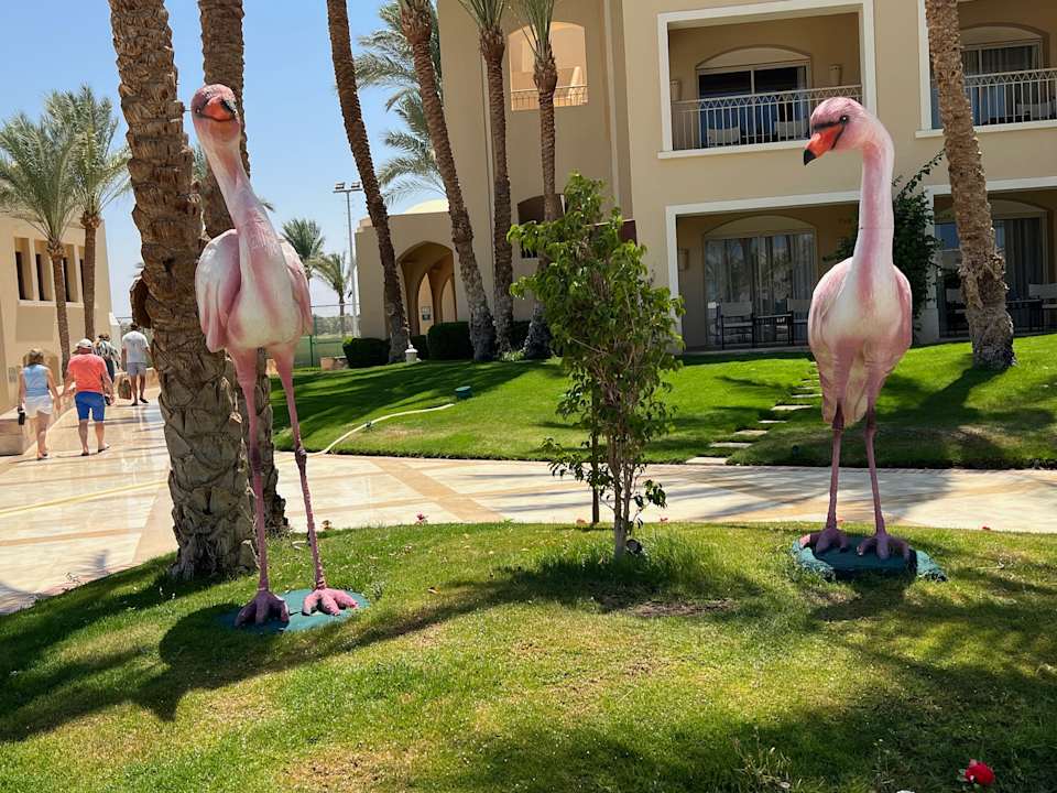 Gartenanlage Hotel JAZ Makadi Star & Spa