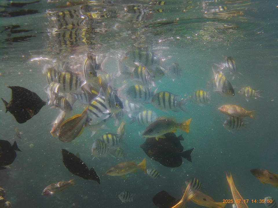 Strand Three Corners Sea Beach Resort