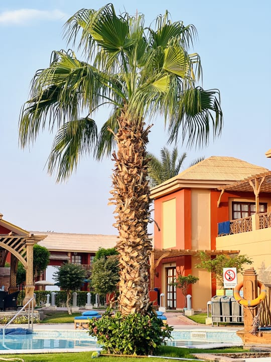 Pool Pickalbatros Alf Leila Wa Leila Resort - Neverland Hurghada