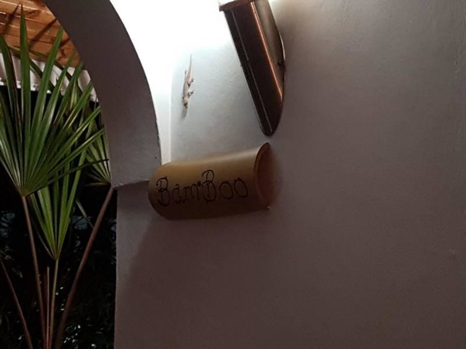 Unsere täglichen Gäste Haus & Apartments Beau Bamboo