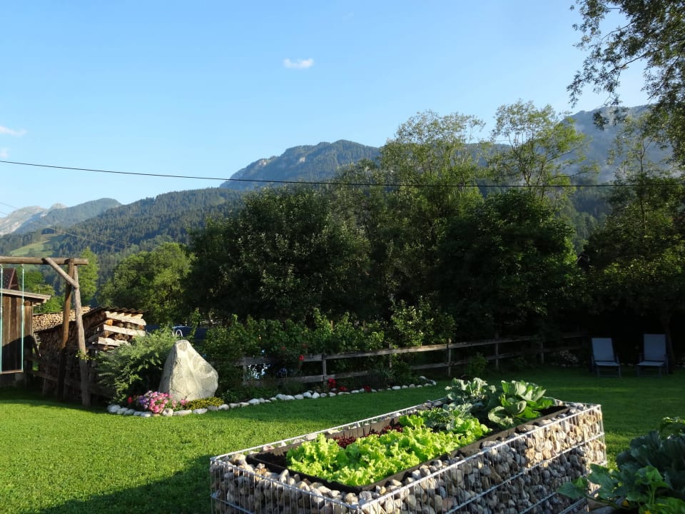 Liegewiese Linharterhof Appartement