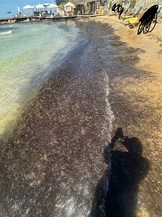 Strand Hotel Babaylon