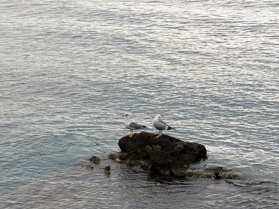 Strand Hotel Kalithea Horizon Royal