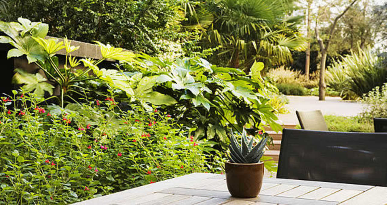 Jardin Hotel Oceania Paris Porte de Versailles