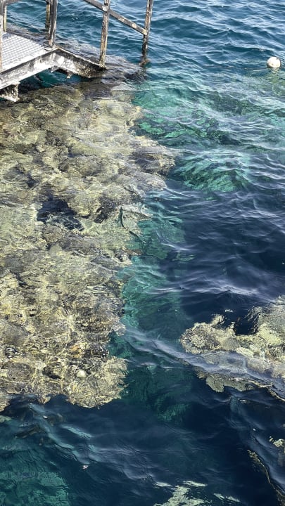 Strand Malikia Resort Abu Dabbab