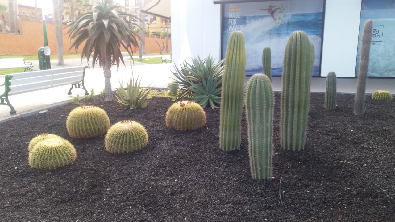 Gartenanlage Alexandre Hotel Troya