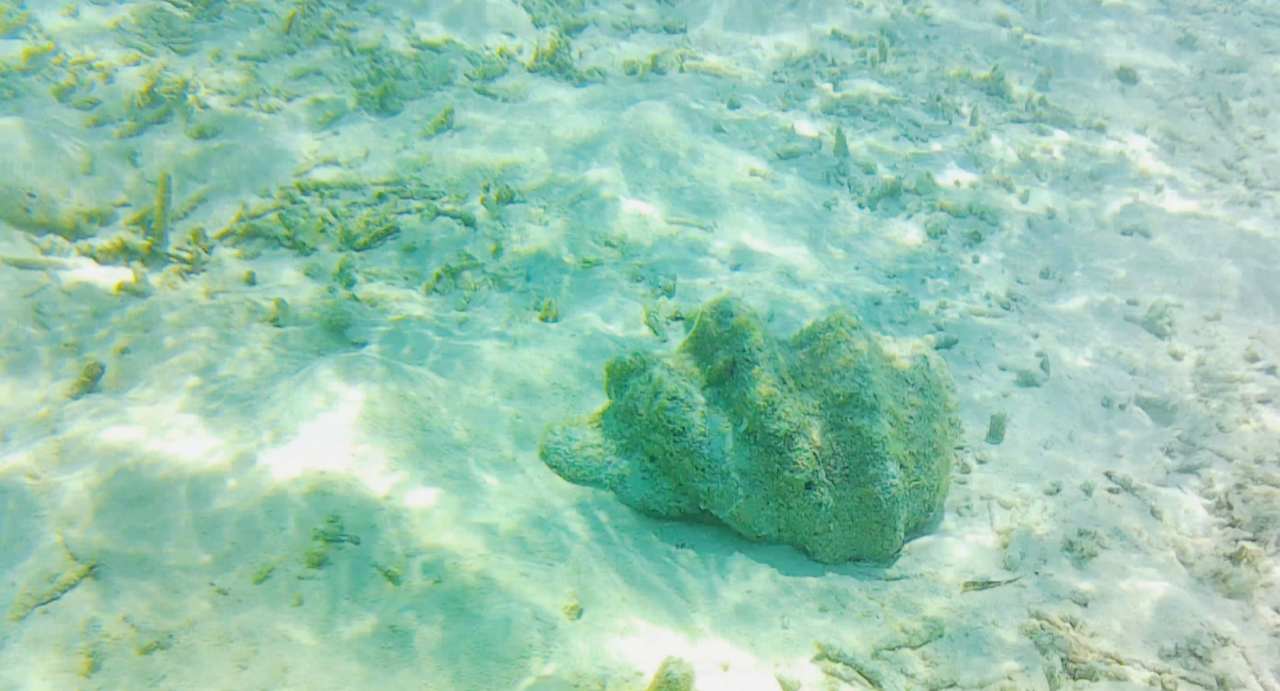 Strand Cinnamon Hakuraa Huraa Maldives