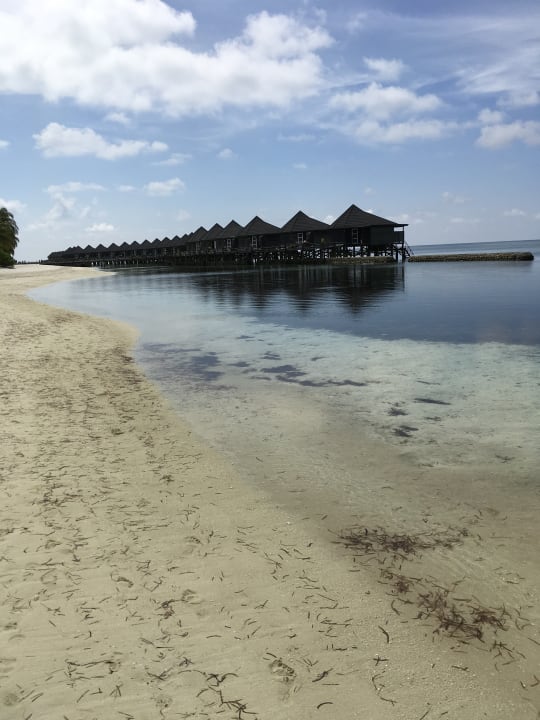 Außenansicht Kuredu Island Resort & Spa