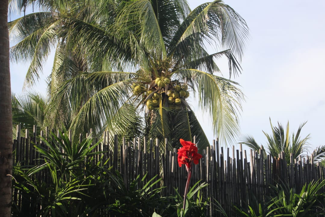 Super gepflegt Hotel Mai Samui Beach Resort & Spa