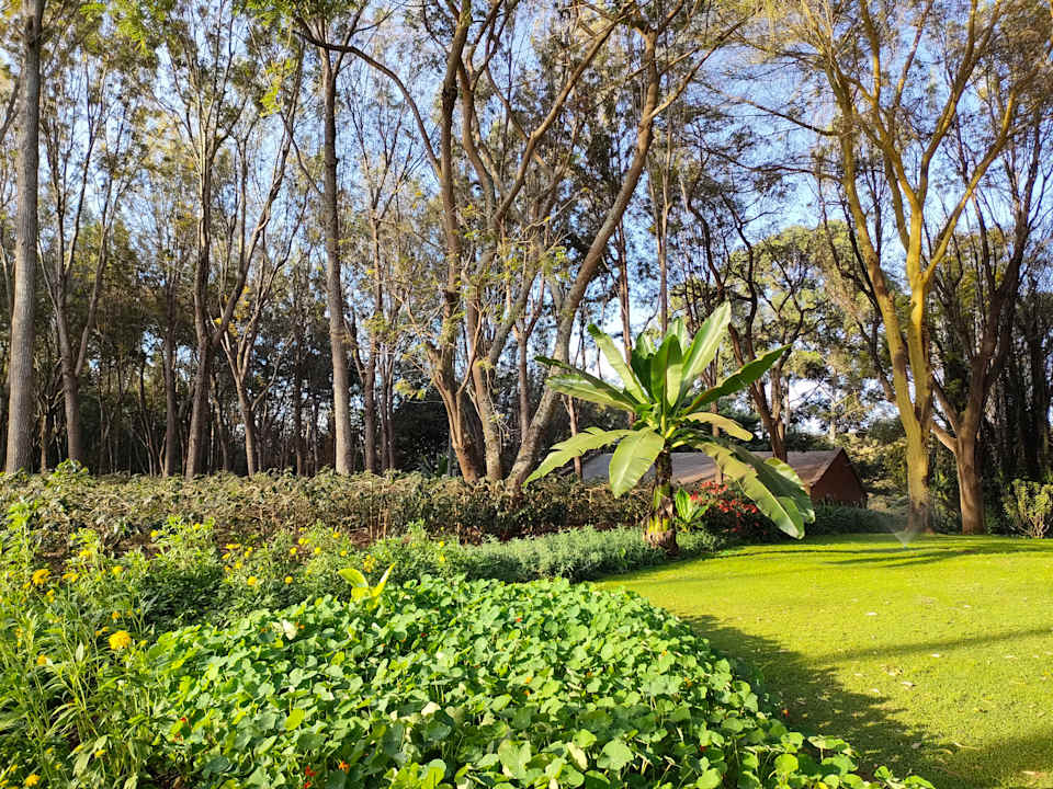 Gartenanlage Ngorongoro Farm House