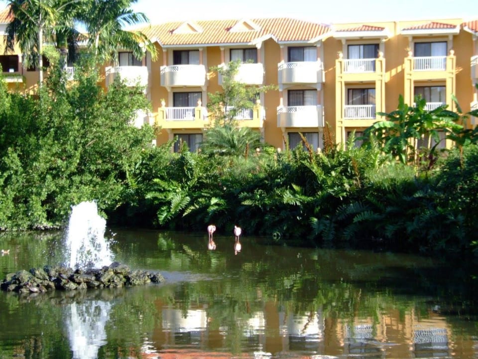 Flamingos im Garten Hotel Viva Dominicus Palace by Wyndham-All Inclusive Resort