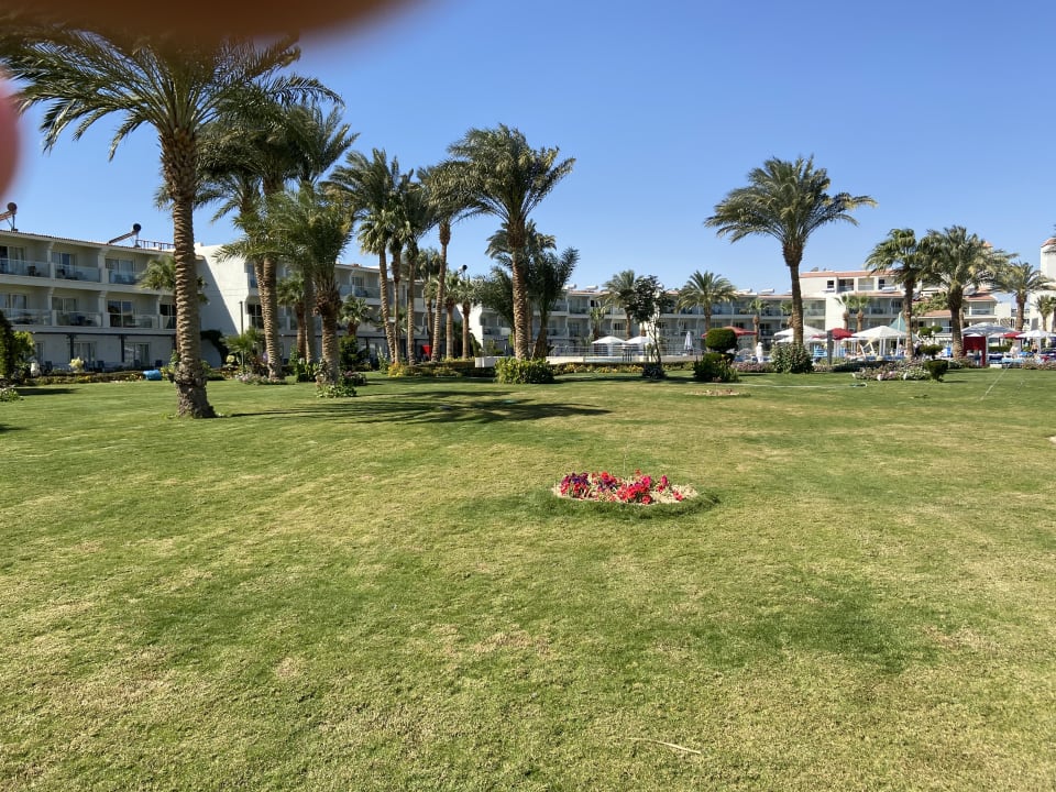 Gartenanlage Amarina Abu Soma Resort & Aquapark