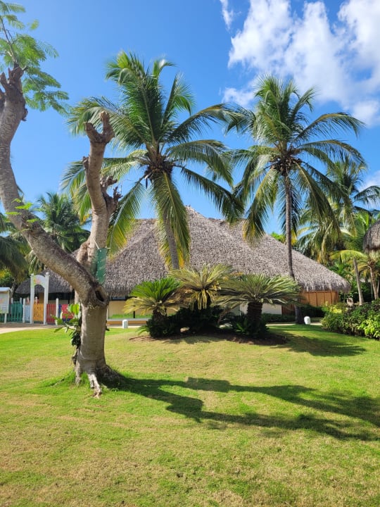 Gartenanlage Catalonia Royal La Romana - Adults only