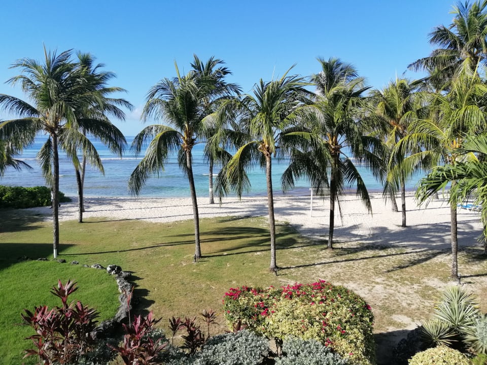 Ausblick Coconut Court Beach Hotel