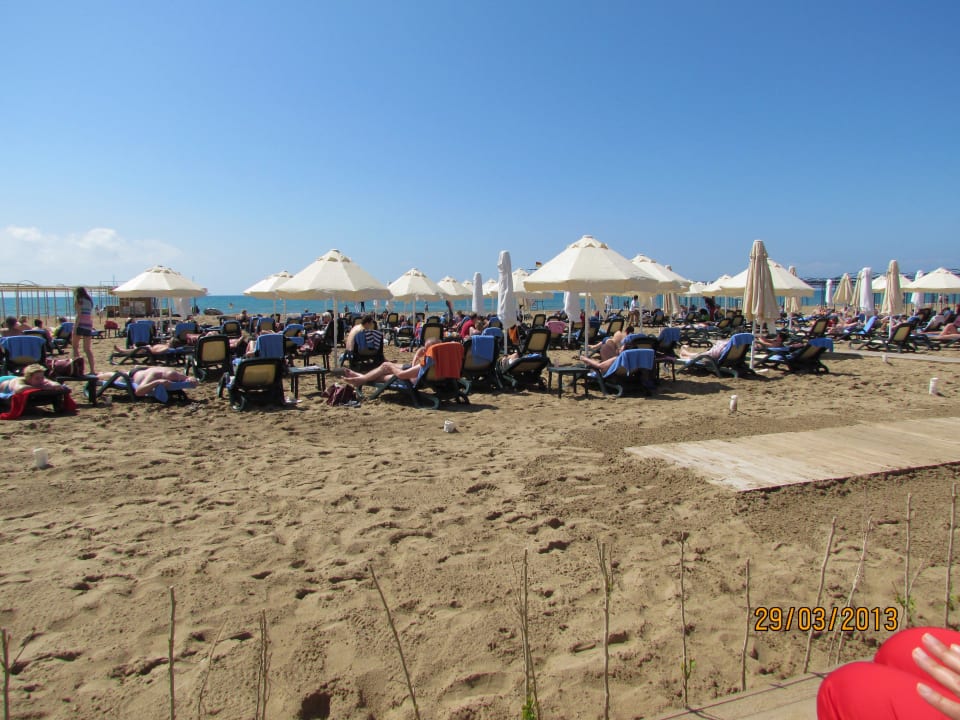 Gepflegter Strandbereich Sentido Trendy Verbena Beach