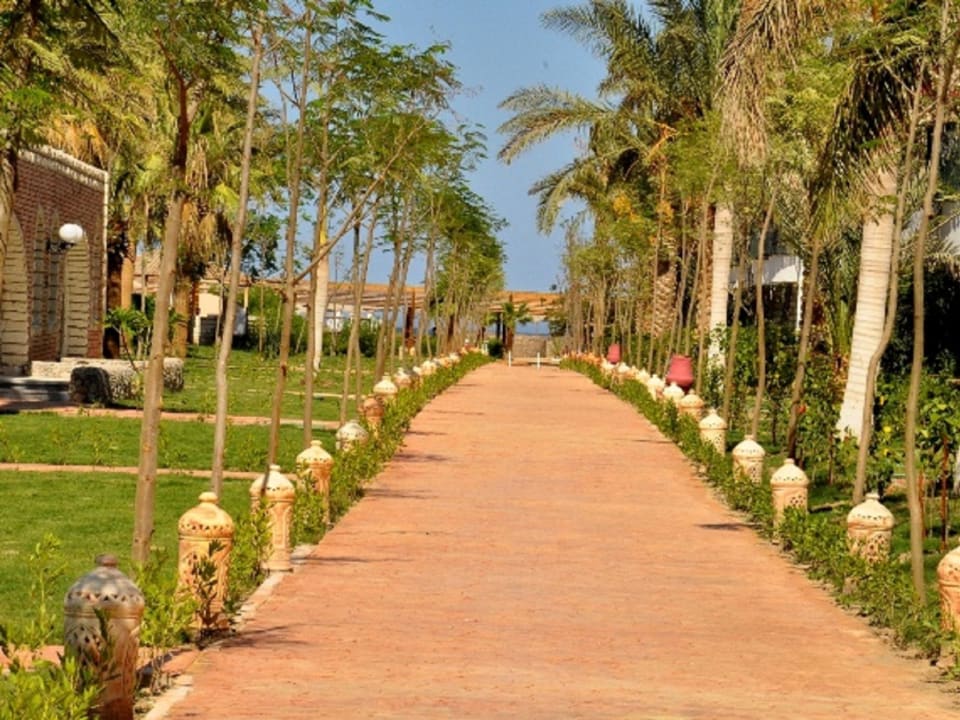 Gartenanlage Aladdin Beach Resort