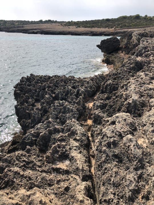 Außenansicht Hipotels Hipocampo Playa