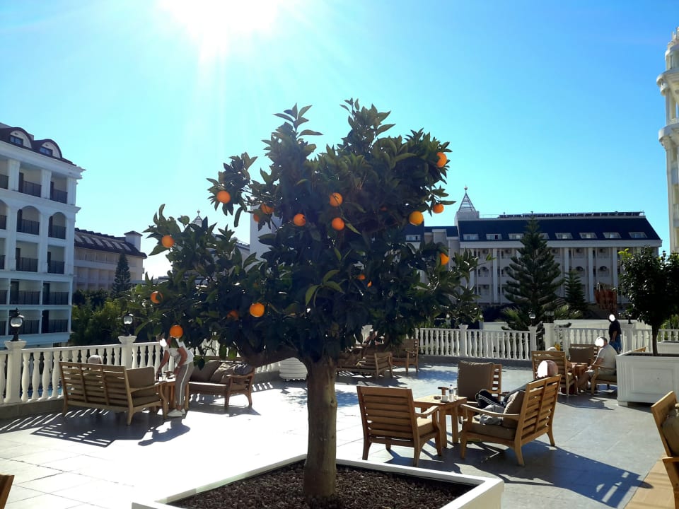 Außenansicht Side Royal Palace Hotel & Spa