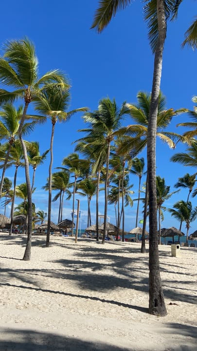 Strand Catalonia Punta Cana - All Inclusive