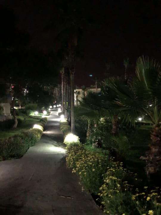 Gartenanlage Club Sidelya Hotel