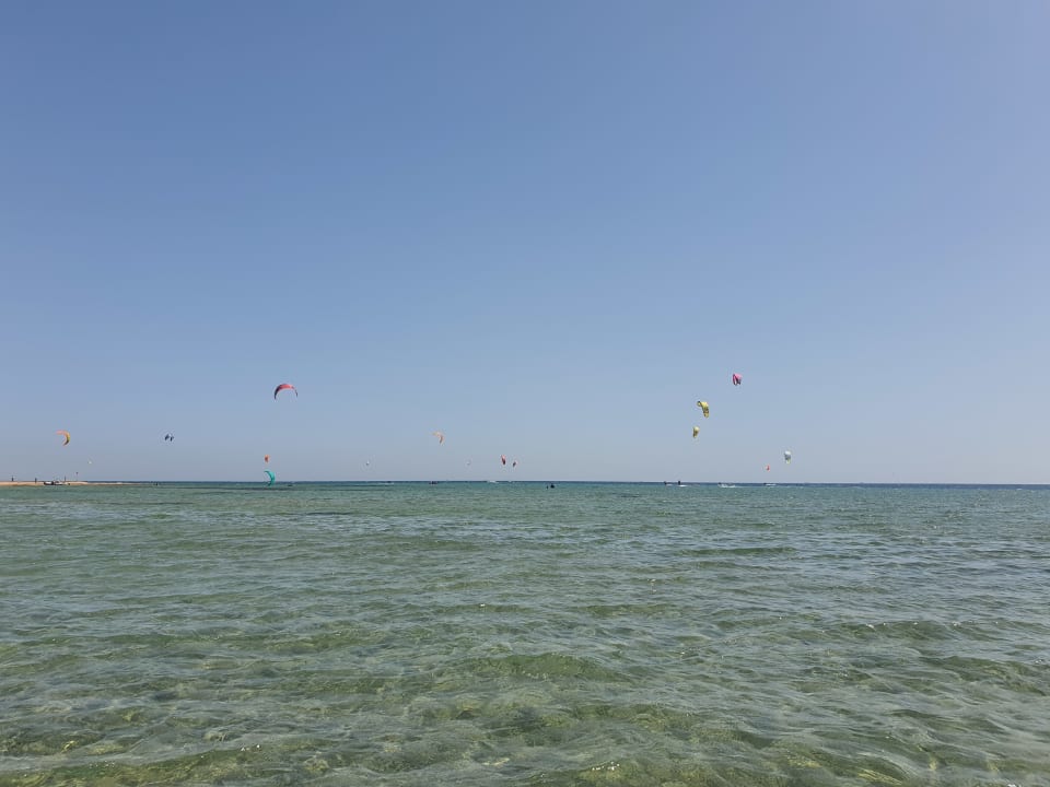 Strand Shams Prestige Abu Soma-Adults Only