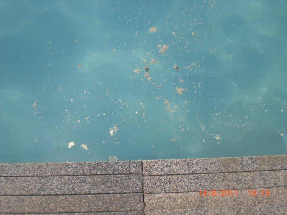 Pool Giftun Azur Resort